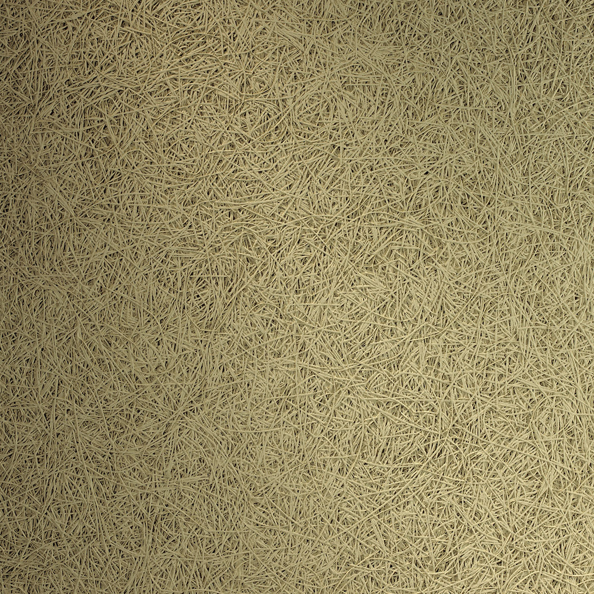 Organic - coloris Ivoire.jpg